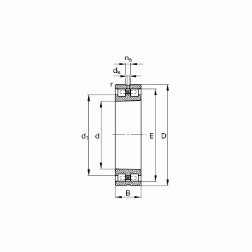 NN3006-AS-K-M-SP FAG Cylindrical Roller Bearings #1 small image