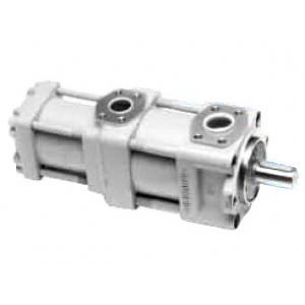 NACHI IPH-26B-6.5-125-11 IPH Series Hydraulic Gear Pumps #4 image