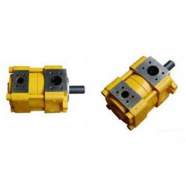 SUMITOMO QX5133-100-10 Q Series Gear Pump #5 image