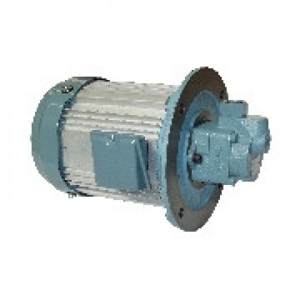 Italy CASAPPA Gear Pump PLP10.1 S0-81E1-LBB/BA-N-EL FS #1 image