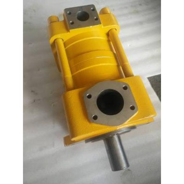 Japan imported the original Japan imported the original SUMITOMO QT4222 Series Double Gear Pump QT4222-20-4F #1 image