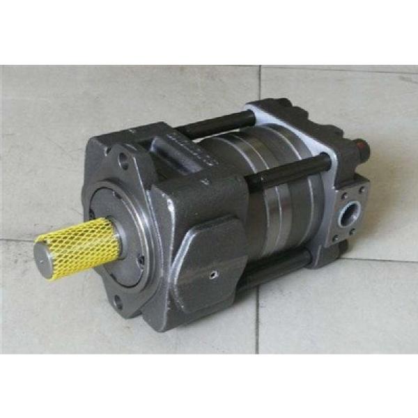 Japan imported the original Japan imported the original SUMITOMO QT4222 Series Double Gear Pump QT4222-20-5F #1 image