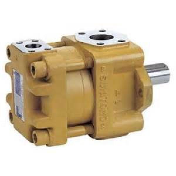 Japan imported the original SUMITOMO QT2323 Series Double Gear pump QT2323-5-5-A #1 image