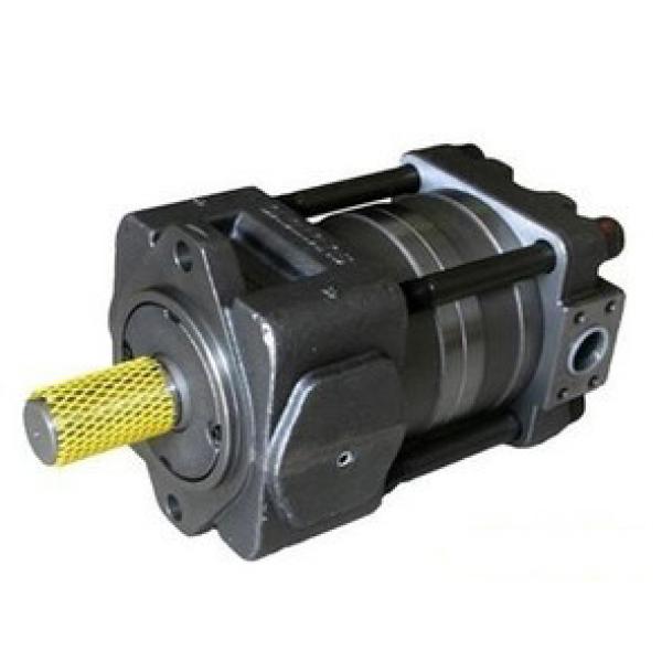 Japan imported the original pump QT23 Series Gear Pump QT23-4-A #1 image