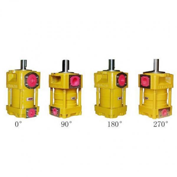 Japan imported the original pump QT23 Series Gear Pump QT23-5L-A #1 image