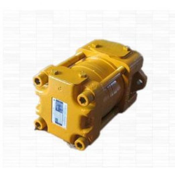 Japan imported the original SUMITOMO QT2323 Series Double Gear pump QT2323-4-4-A #1 image