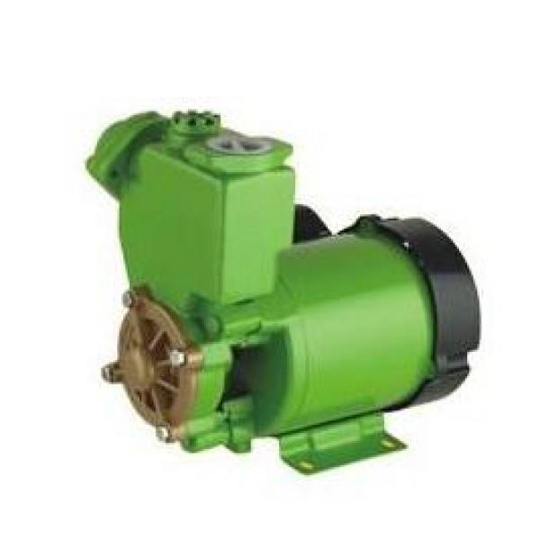 PW140-7H Slew Motor 706-73-01181 #1 image