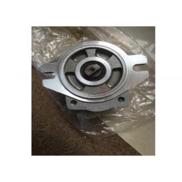 SUMITOMO QT6252-125-63F-S1302-A QT6252 Series Double Gear Pump #1 image