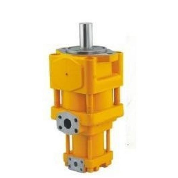 NACHI VDR-1B-1A4-E22 VDR Series Hydraulic Vane Pumps #1 image