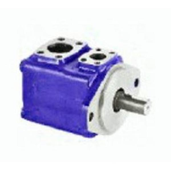 Vickers Variable piston pumps PVE Series PVE012R01AJB0A120000D5001AGCGH #1 image