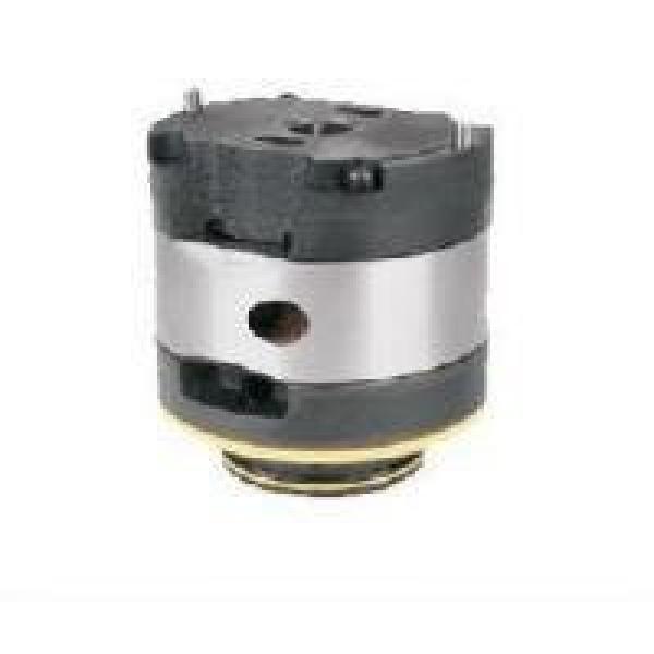 Atos PFE Series Vane pump PFE-42056/3DU 20 #5 image