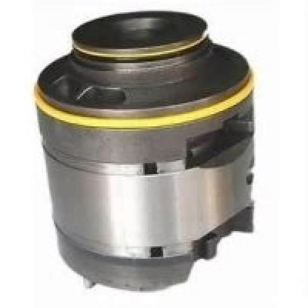 Vickers Variable piston pumps PVE Series PVE012R05AUB0B3411000100100CDC #1 image